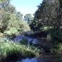 Cascade Falls Farm