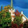 Armidale Area Churches and Cathedrals