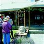 Armidale Area