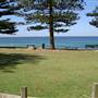 Avalon Beach