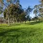 Parramatta Park Trust