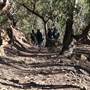 Bushrangers Cave