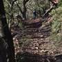 Bushrangers Cave