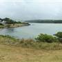 Minnamurra