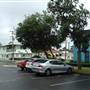 Minnamurra