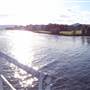 Lake Illawarra North-King St Foreshore & Bob Grabham Jetty