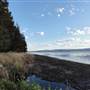 Lake Illawarra North-Purry Burry Avenue