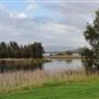 Lake Illawarra North-Budjong Creek Wetland