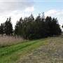Lake Illawarra North-Budjong Creek Wetland