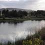 Lake Illawarra North-Budjong Creek Wetland