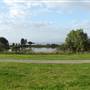 Lake Illawarra North-Budjong Creek Wetland