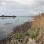 Lake Illawarra North-Holborn Park