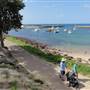 Shellharbour 2