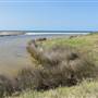 Shellharbour - The Shallows Coastal Reserve