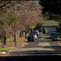 American style - houses & streets