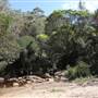 Georges River Nature Reserve