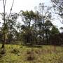 Georges River Nature Reserve