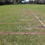 Waratah Athletics Track