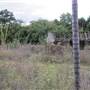 Brownlow Hill - File 2