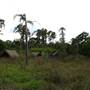 Brownlow Hill - File 2