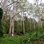 Bradley Reserve