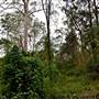 Bradley Reserve