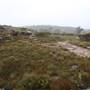 Mt Banks