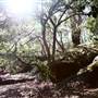 Warraroon Reserve