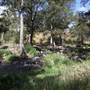 Coxs River - Glenroy Cabins and Camp Ground