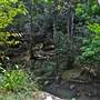 Flatrock Gully