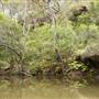 Georges River