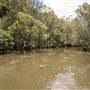 Georges River