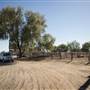 Coonamble