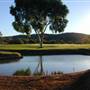 Broken Hill Golf Club