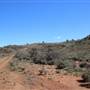 Broken Hill Sculptures Site and Living Desert