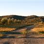 Hopeful Ranch Olive Farm File 1