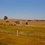 Crookwell Wind Farm Lookout