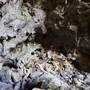 Jenolan Caves