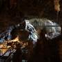 Jenolan Caves