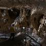 Jenolan Caves