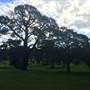 Centennial Park