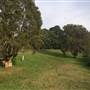 Centennial Park