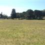 Centennial Park