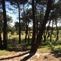 Centennial Park