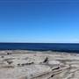 Clovelly Beach