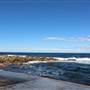 Clovelly Beach