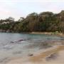 Cobblers Beach - Sydney Harbour National Park