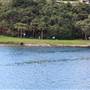 The Spit Bridge & Reserve