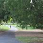 The Domain - Royal Botanic Garden Sydney