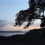 Mrs. Macquarie's Point - Royal Botanic Garden Sydney